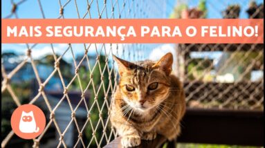 TELA de PROTEÇÃO para GATOS 🪟🐈 Proteja o felino de possíveis quedas!